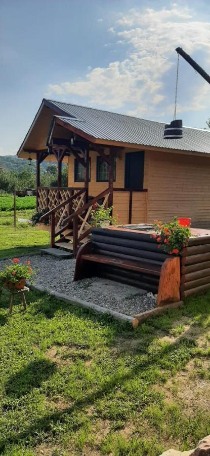 فيلا Baltina Parc Transfagarasan Curtea de Argeş المظهر الخارجي الصورة