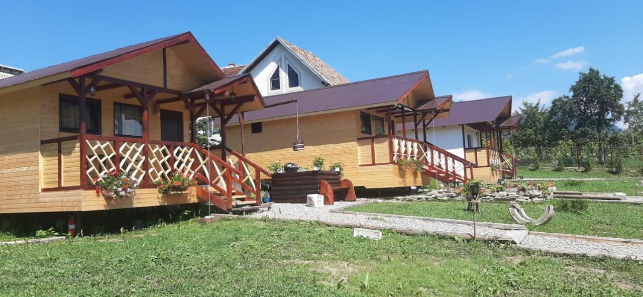 فيلا Baltina Parc Transfagarasan Curtea de Argeş المظهر الخارجي الصورة