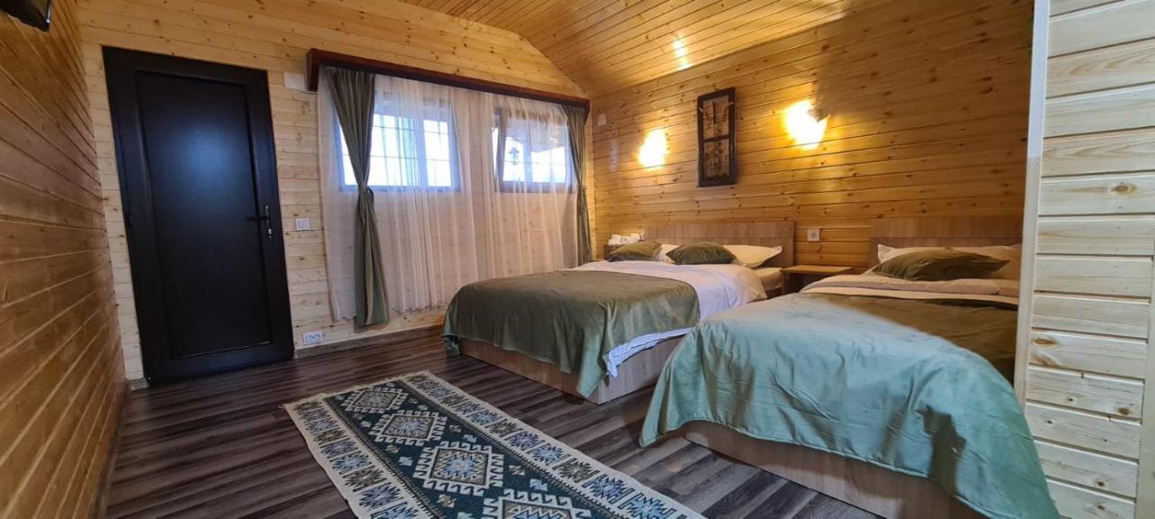 فيلا Baltina Parc Transfagarasan Curtea de Argeş المظهر الخارجي الصورة