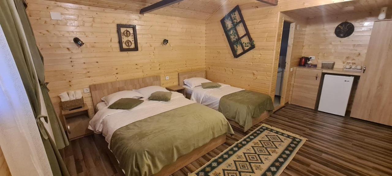 فيلا Baltina Parc Transfagarasan Curtea de Argeş المظهر الخارجي الصورة