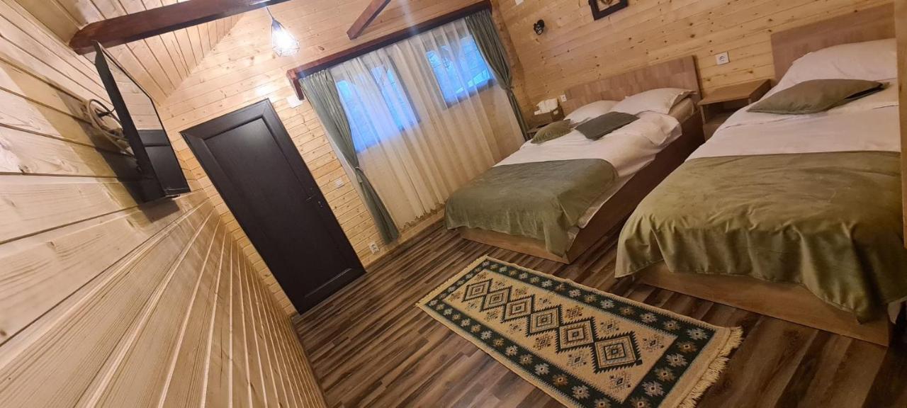 فيلا Baltina Parc Transfagarasan Curtea de Argeş المظهر الخارجي الصورة