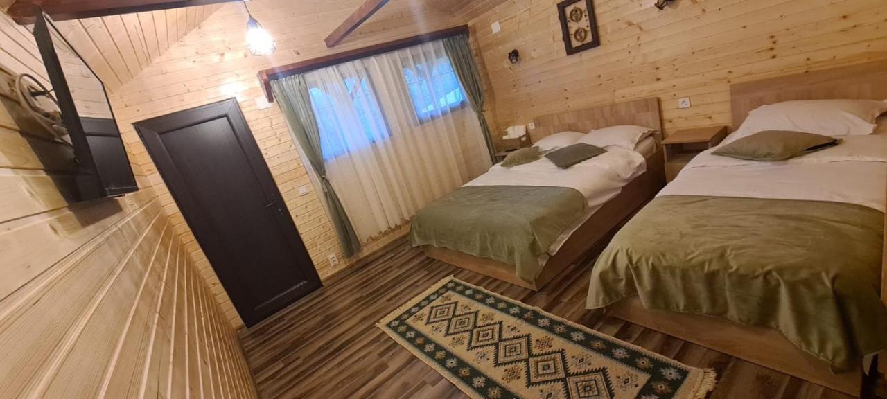 فيلا Baltina Parc Transfagarasan Curtea de Argeş المظهر الخارجي الصورة