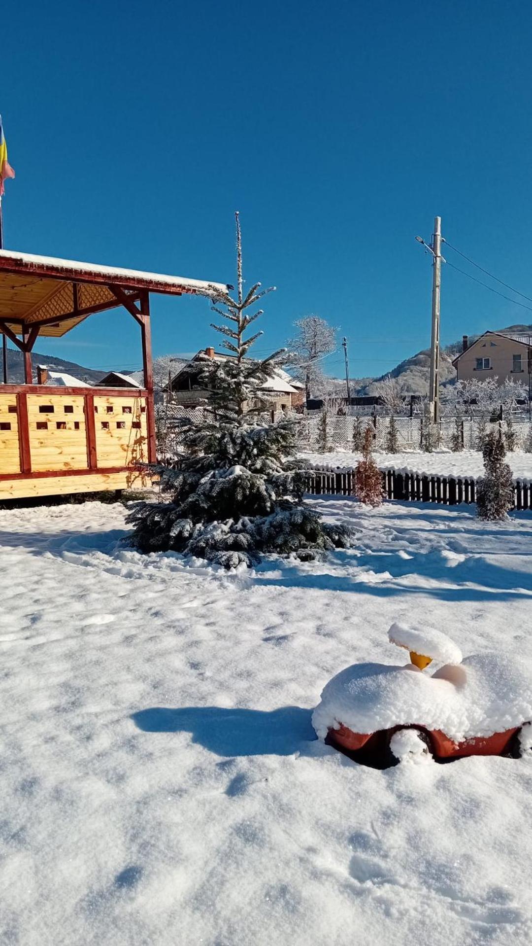 فيلا Baltina Parc Transfagarasan Curtea de Argeş المظهر الخارجي الصورة