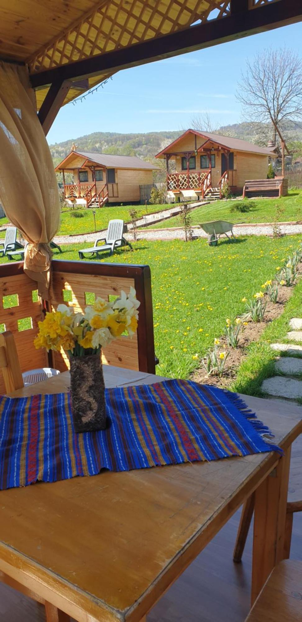 فيلا Baltina Parc Transfagarasan Curtea de Argeş المظهر الخارجي الصورة