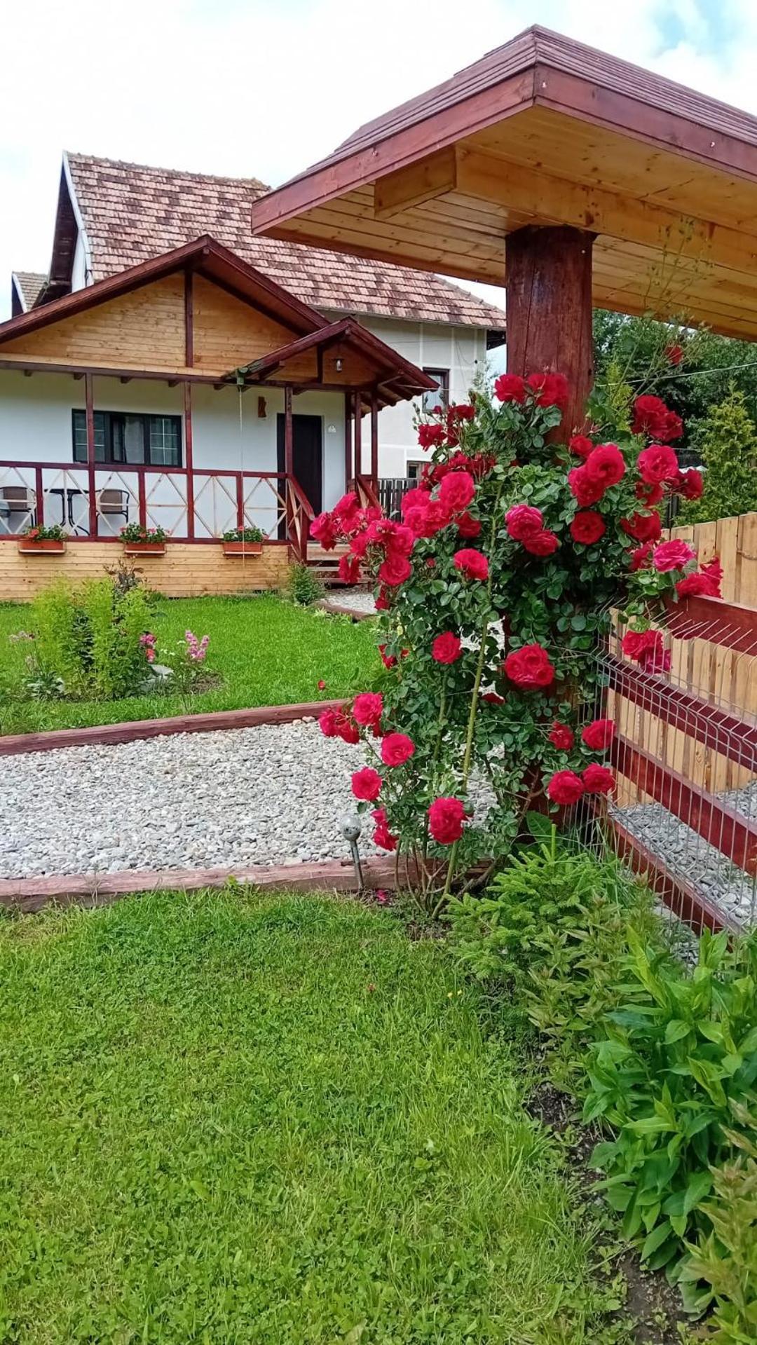 فيلا Baltina Parc Transfagarasan Curtea de Argeş المظهر الخارجي الصورة