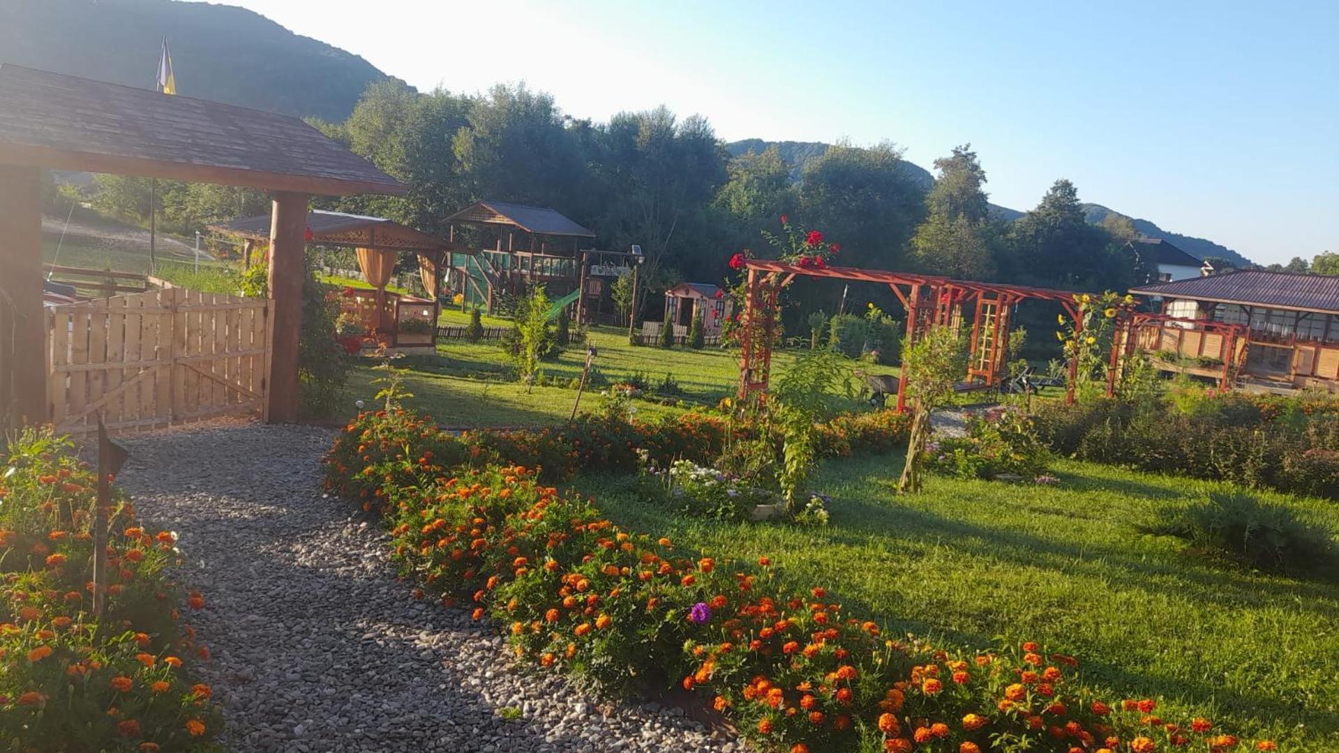 فيلا Baltina Parc Transfagarasan Curtea de Argeş المظهر الخارجي الصورة
